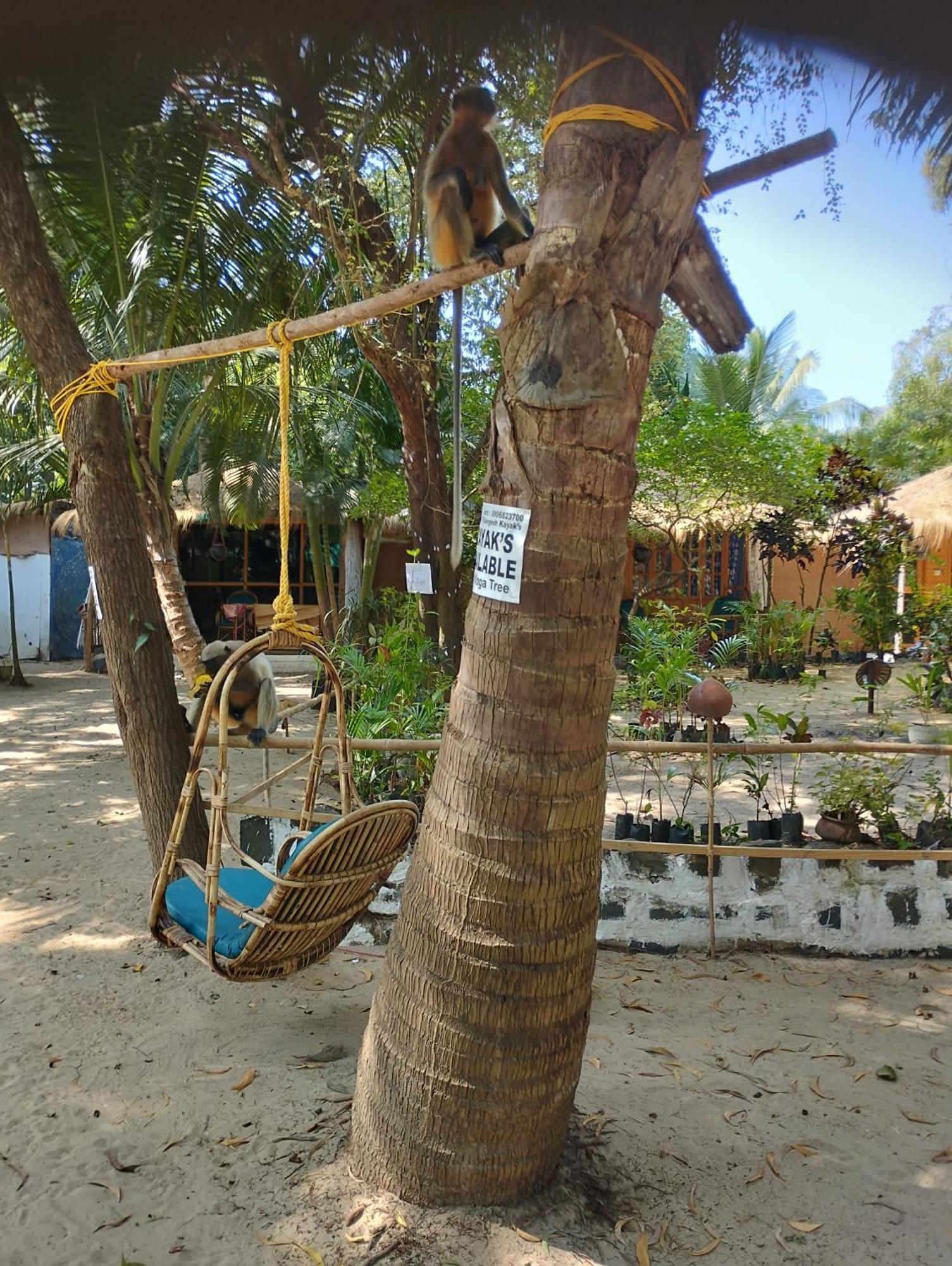Yoga Culture Palolem Hotel Екстериор снимка